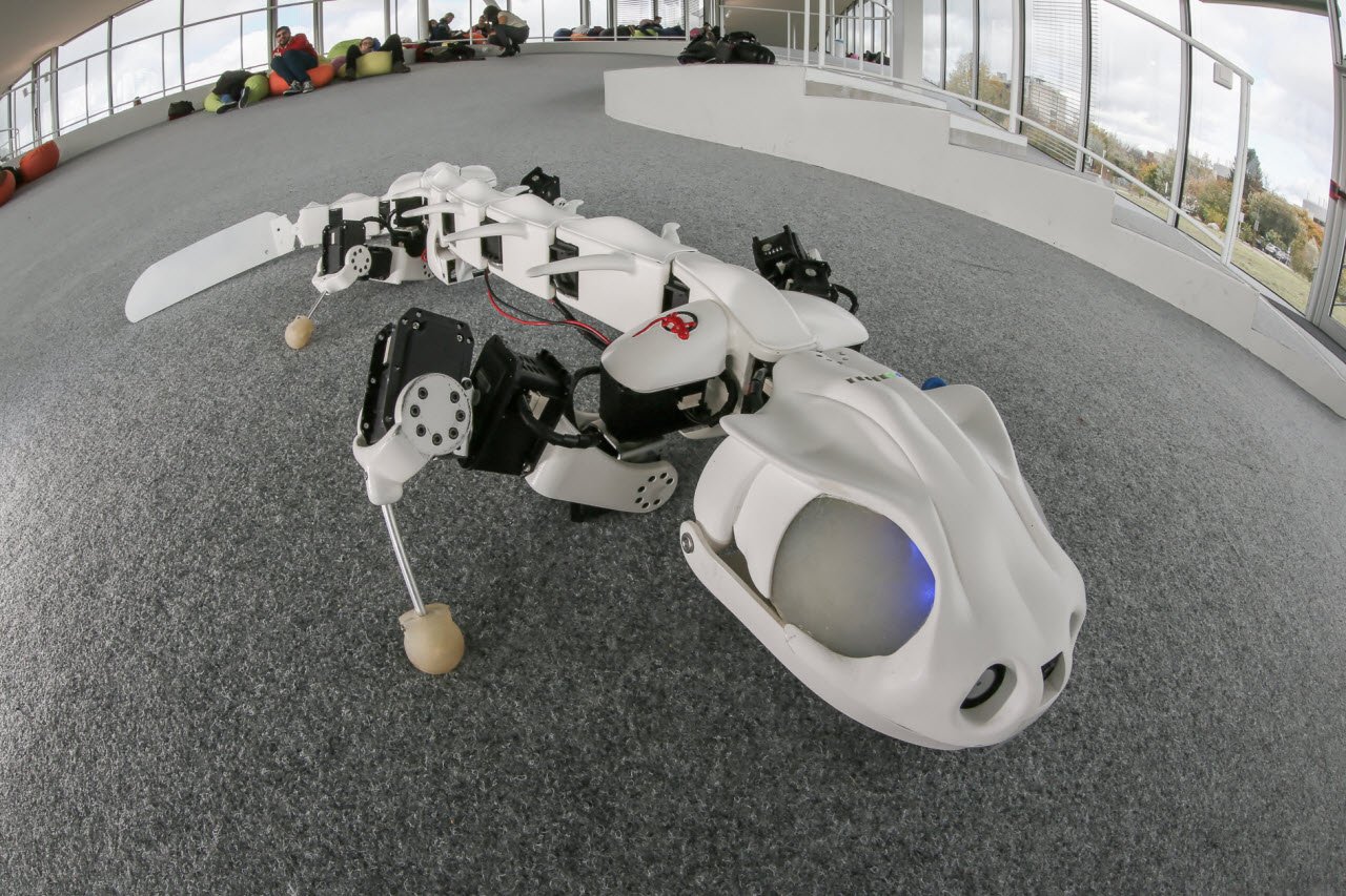 PleuRobot by BioRob