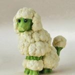 cabbage poodle