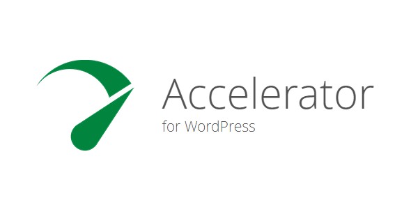 Supercharge Your Website with Accelerator WordPress Plugin by Seraphinite